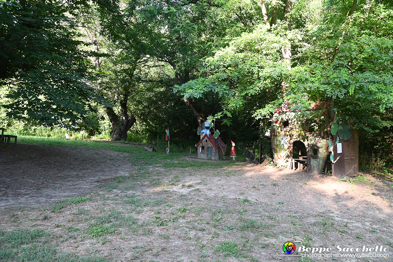 VBS_4942 - Il bosco fatato - Montaldo Roero.jpg